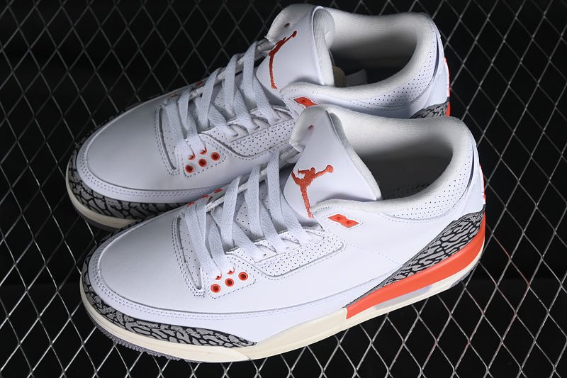 AIR JORDAN 3 RETRO GEORGIA BLANC PÊCHE/ARGILE COSMIQUE/VOILE/GRIS CIMENT/ANTHRACITE