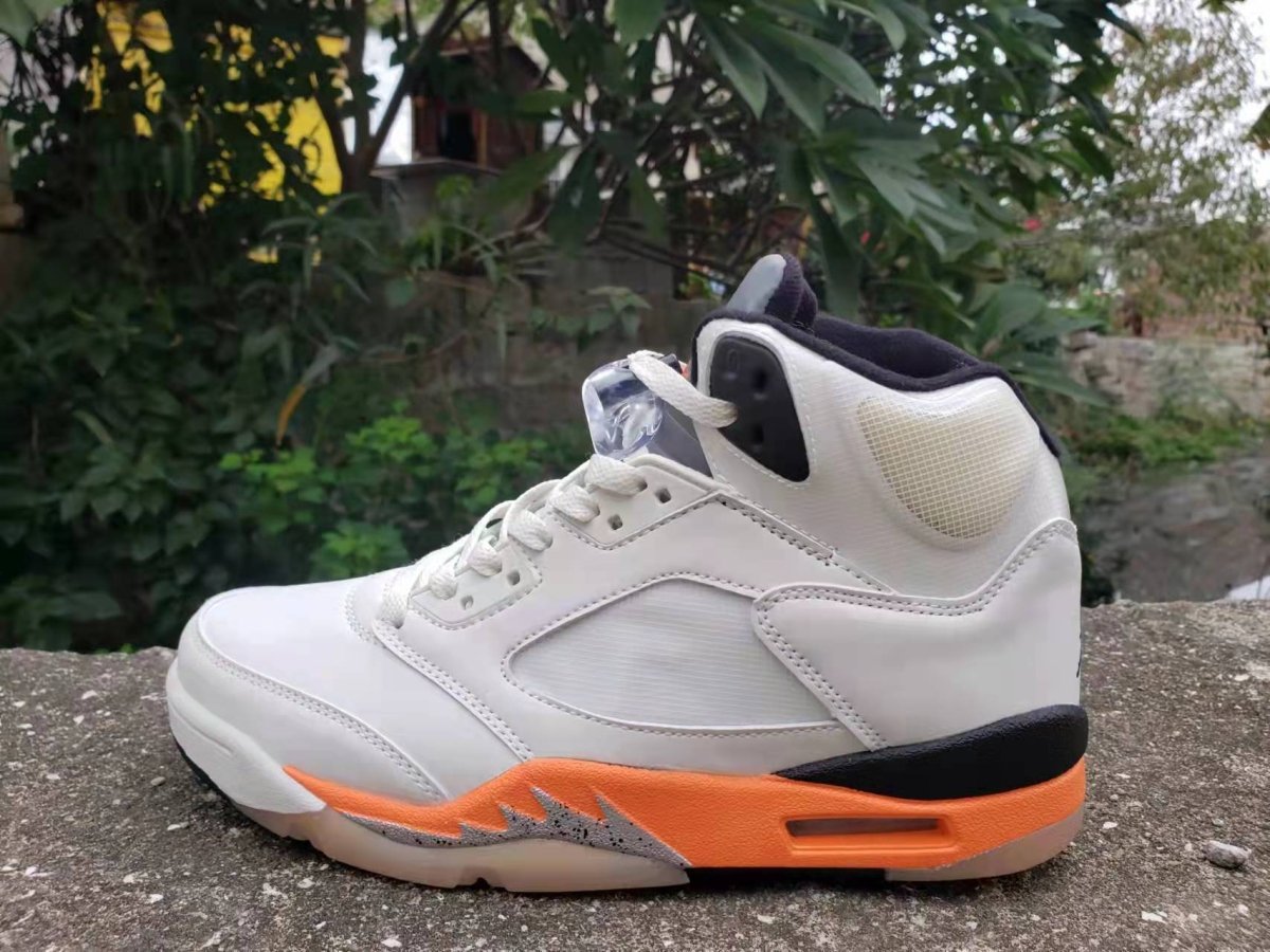 JORDAN 5 RETRO x PANNEAU DÉCOLLÉ