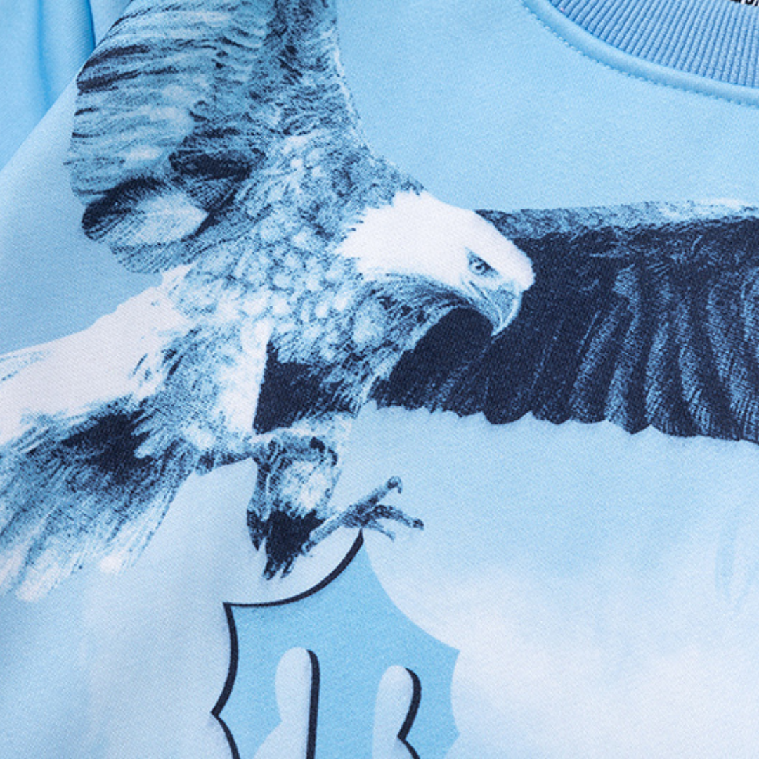 Sweat à capuche T Eagle Decoded