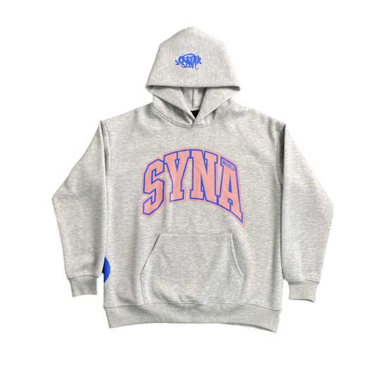 SWEAT À CAPUCHE SYNA WORLD COLLEGE GRIS