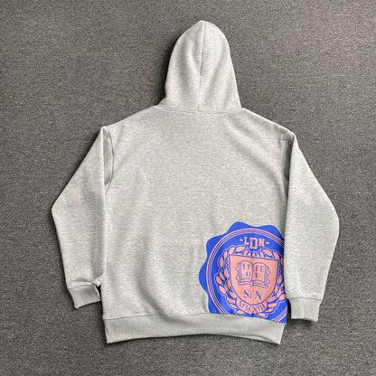 SWEAT À CAPUCHE SYNA WORLD COLLEGE GRIS