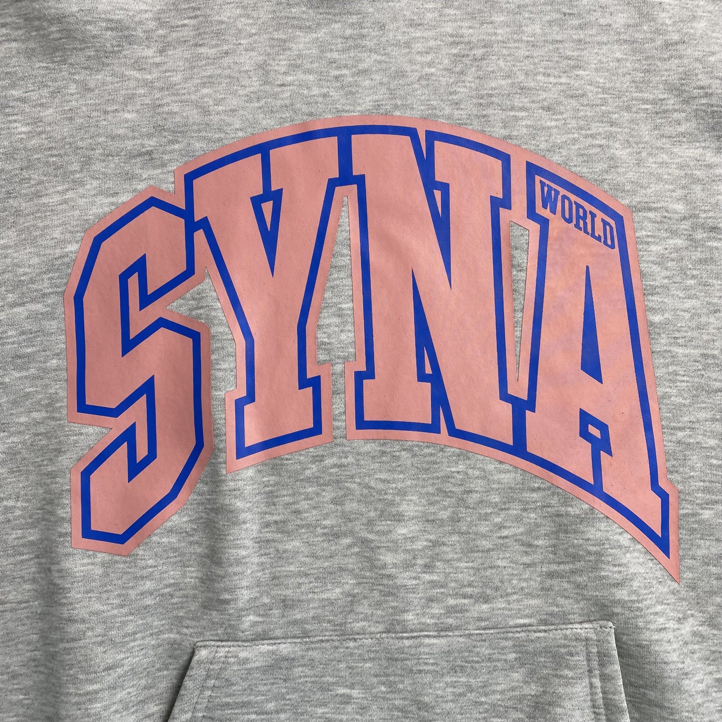 SWEAT À CAPUCHE SYNA WORLD COLLEGE GRIS