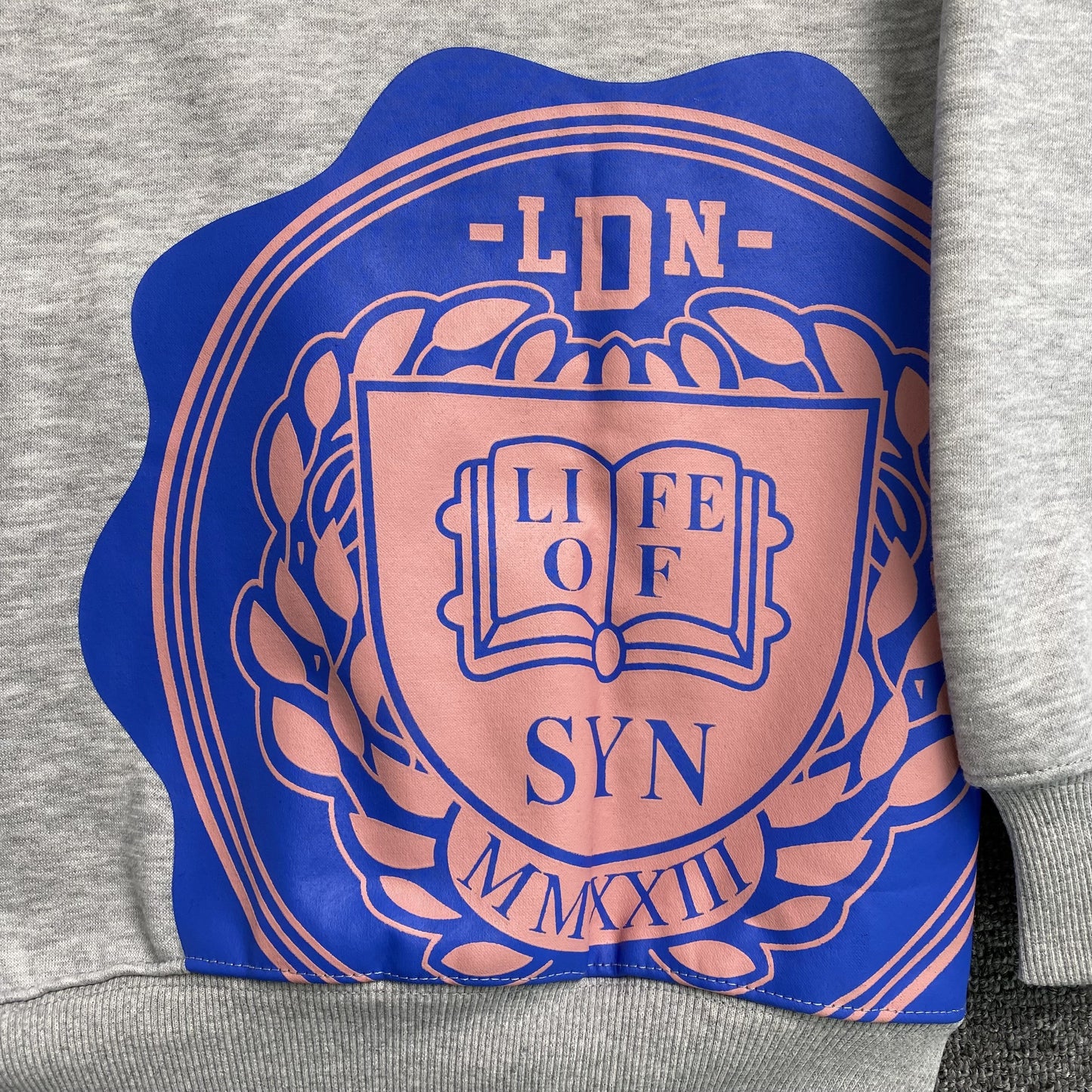 SWEAT À CAPUCHE SYNA WORLD COLLEGE GRIS