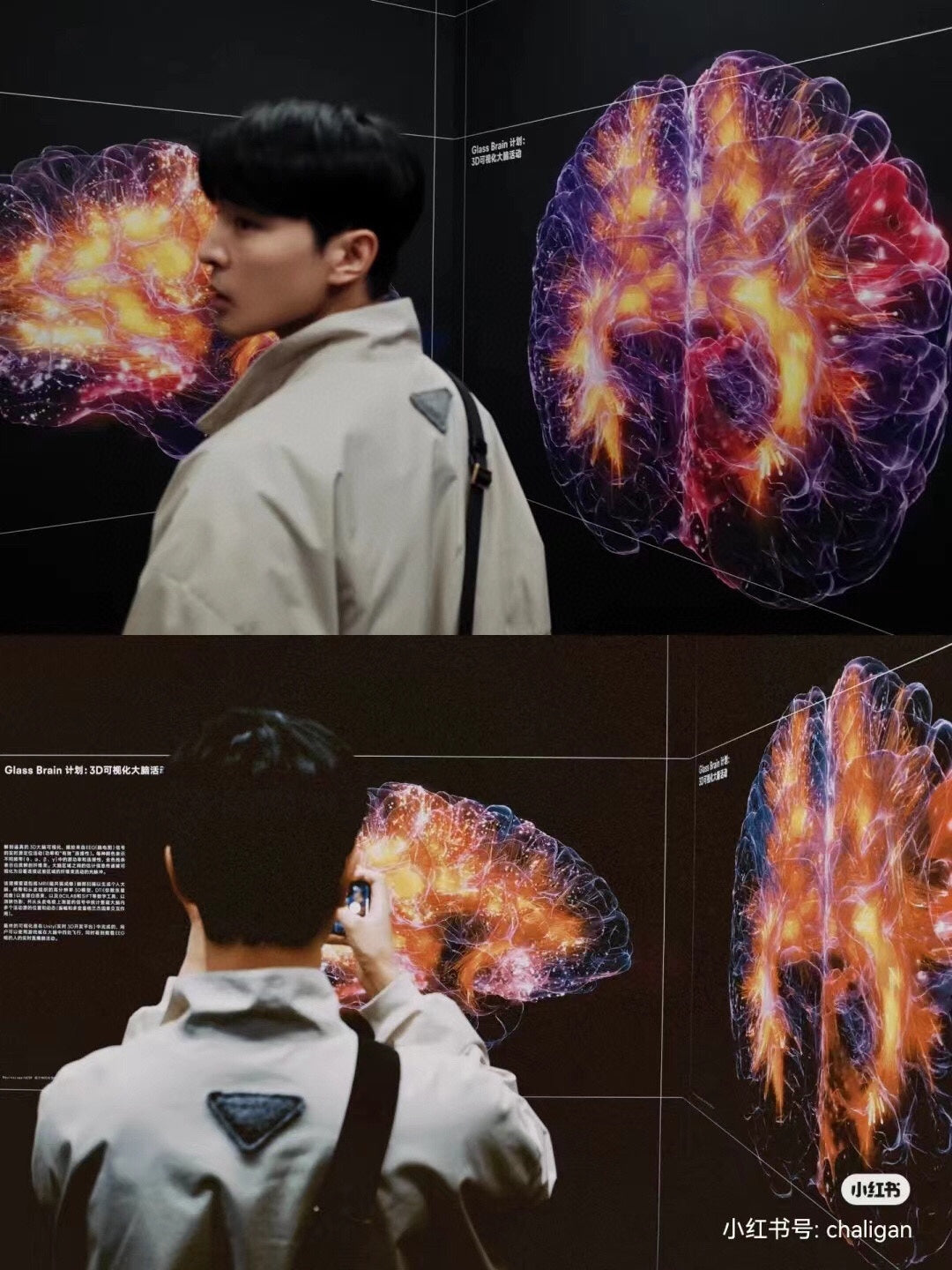 Veste bomber beige Dior