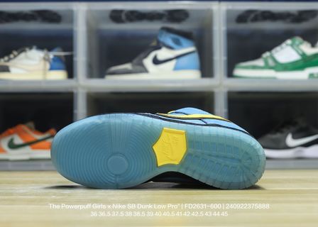 DUNK Les Super Nanas Bleues