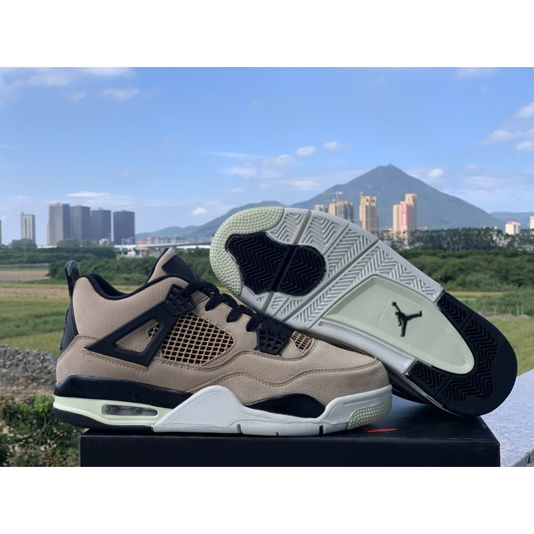 JORDAN 4 x FOSSIL 