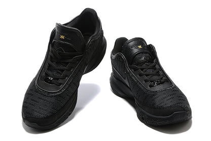 NIKE LEBRON 20 x NOIR OR 