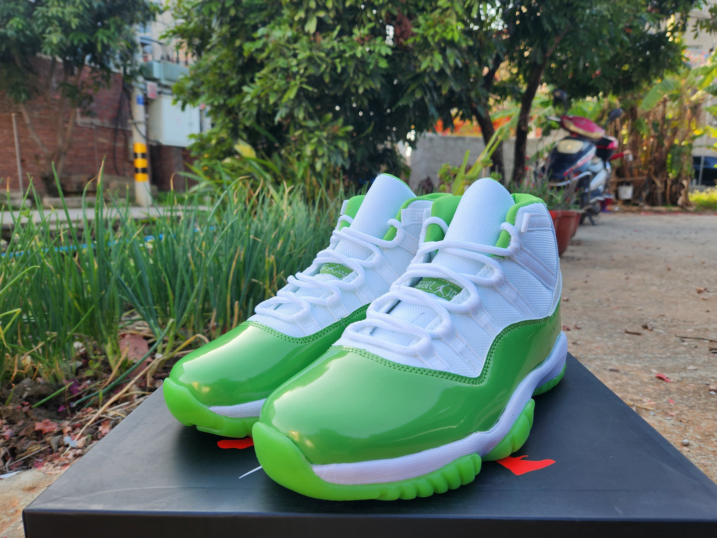 JORDAN 11 Vert et Blanc