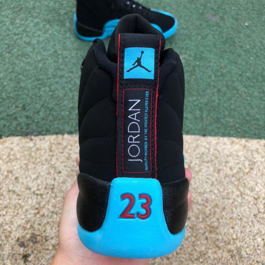 Jordan 12 gamma bleu