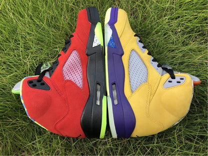 JORDAN 5 RETRO x WHAT THE 