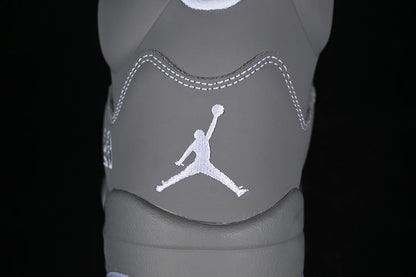 JORDAN 5 x GRIS LOUP