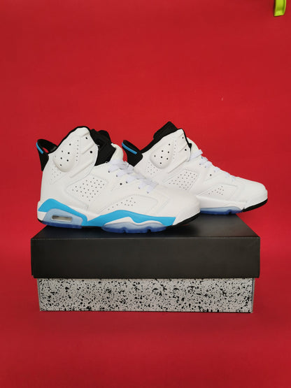 Jordan 6 Blanc et Bleu