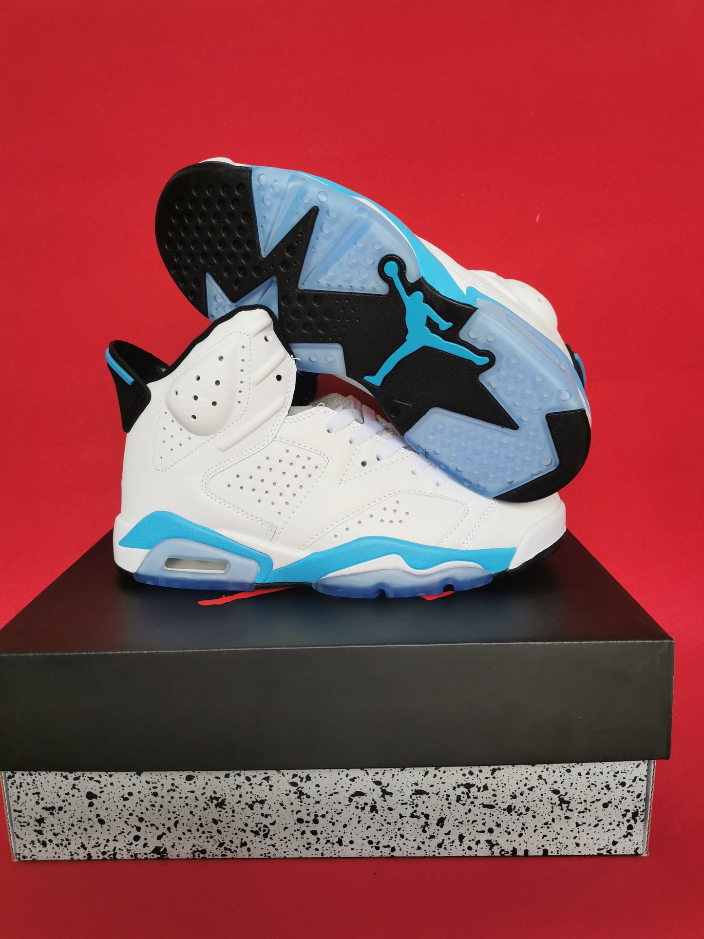 Jordan 6 Blanc et Bleu