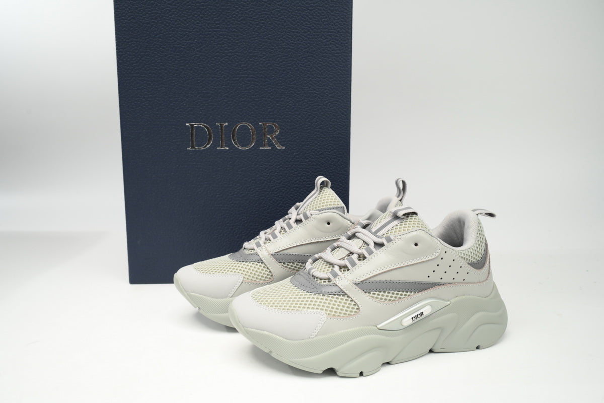 DIOR B22 GRIS
