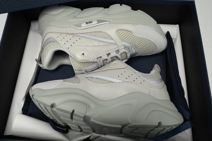 DIOR B22 GRIS