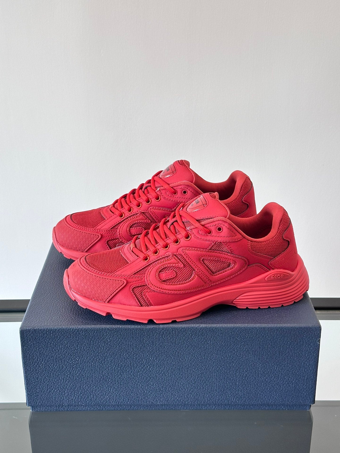 STONE ISLAND x DIOR B30 ROUGE