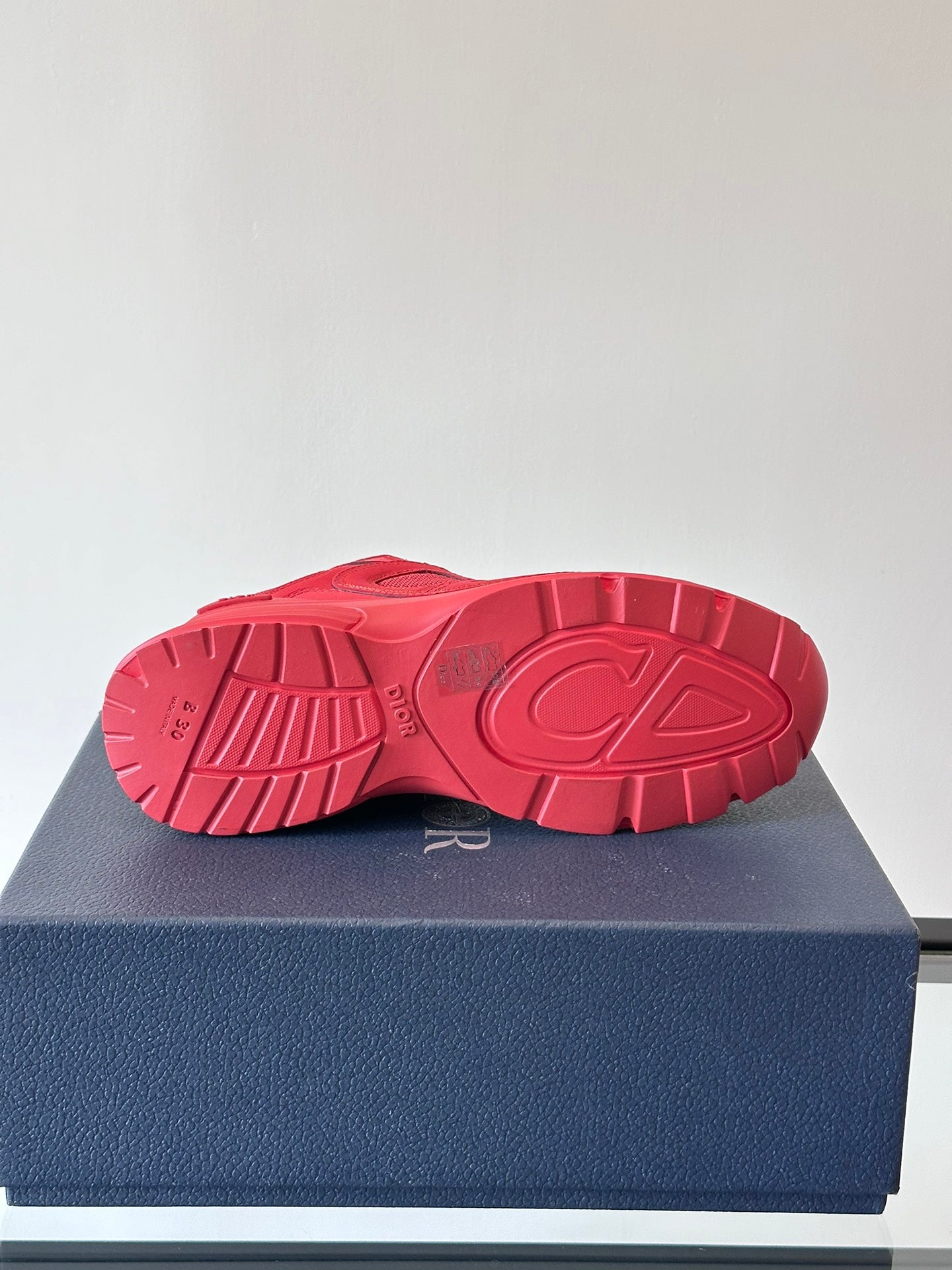 STONE ISLAND x DIOR B30 ROUGE