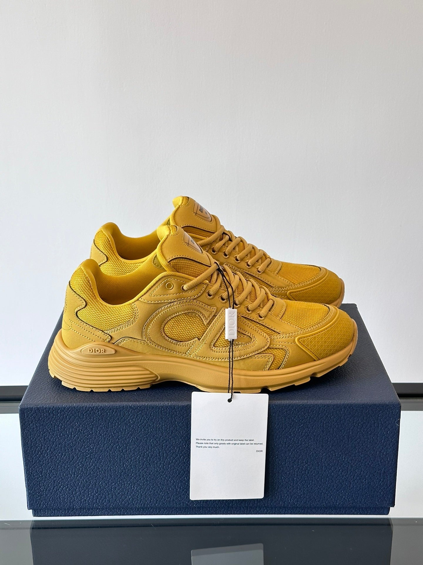 STONE ISLAND x DIOR B30 JAUNE