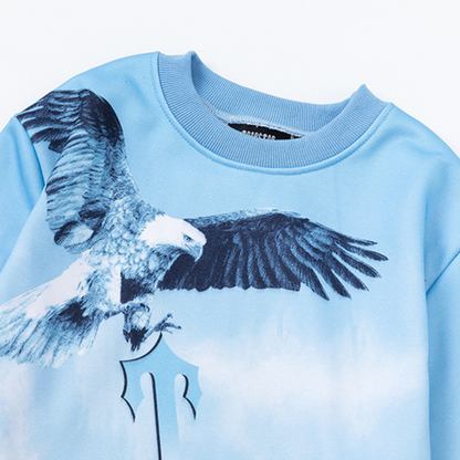 Sweat à capuche T Eagle Decoded