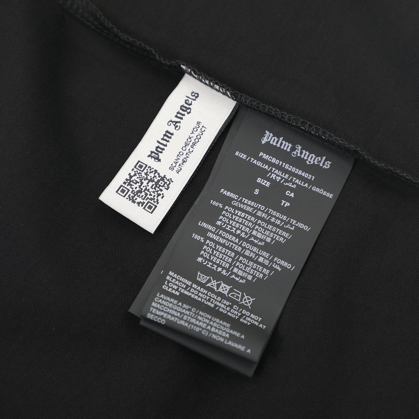 Palmier polychromatique Ours