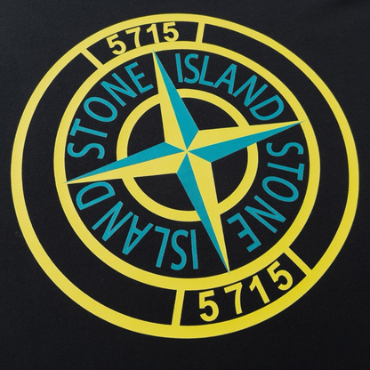 T-shirt Stone Polychromic