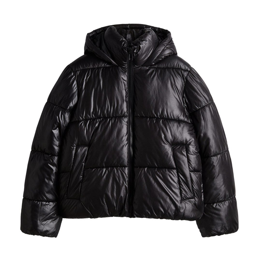 veste noire brillante