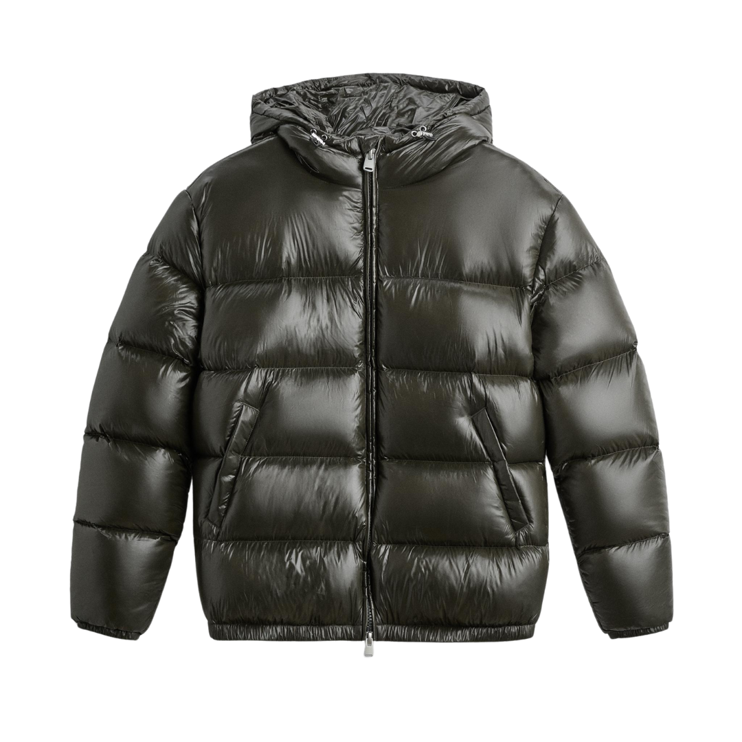 Veste brillante olive