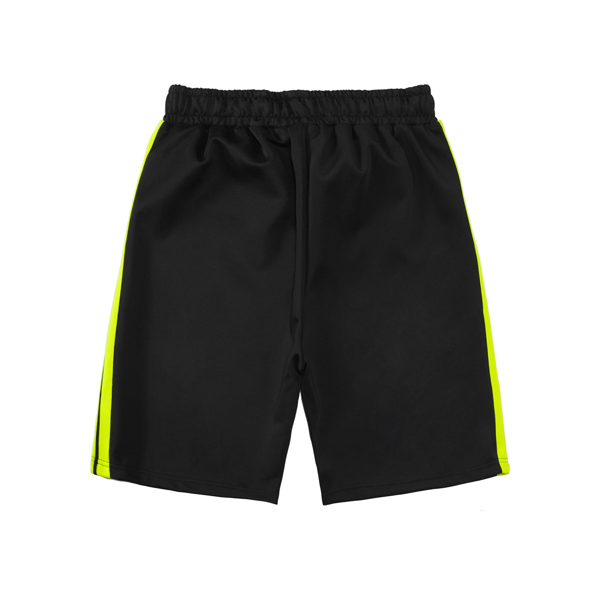 Short Palm Black Lime