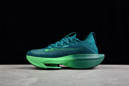 Zoom Alphafly NEXT% 2 Vert